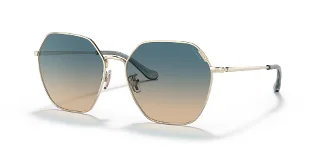 Coach Sunglasses HC7132