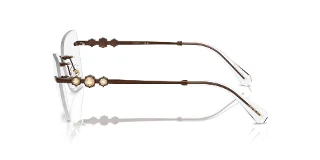 Swarovski Eyeglasses SK1014