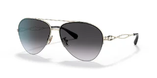 Coach Sunglasses HC7124