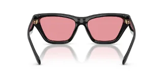 Coach Sunglasses HC8449U