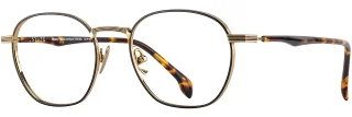 C02 Black Antique Tortoise