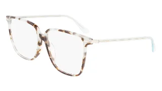 444 Aqua Tortoise