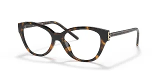 1519 Dark Tortoise