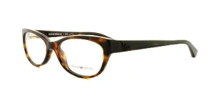 5026 Tortoise