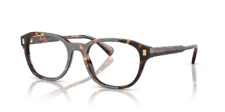 5003 Shiny Dark Havana