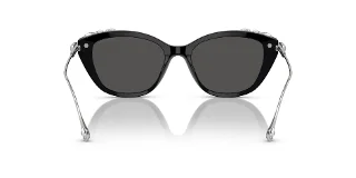 Swarovski Sunglasses SK6010F