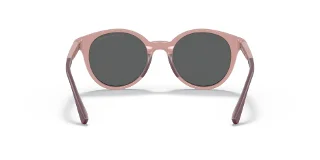Emporio Armani Sunglasses EK4185