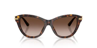 Dolce & Gabbana Sunglasses DG4534
