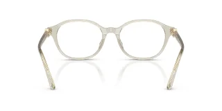 Swarovski Eyeglasses SK2077D