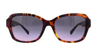 Coach Sunglasses HC8160 L145