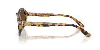 Dolce & Gabbana Sunglasses DG4570