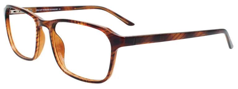 Cool Clip Eyeglasses CC849