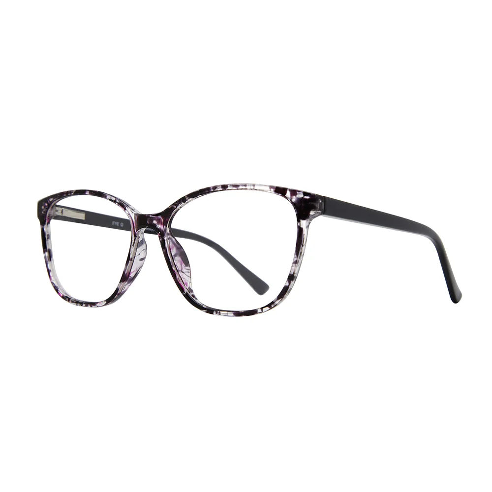Stylewise Eyeglasses SW463