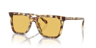504585 Honey Tortoise