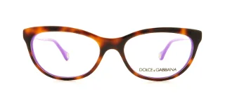D&G Eyeglasses DD1245