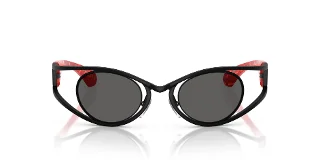 Alain Mikli Sunglasses A04501T