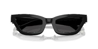 Coach Sunglasses HC8420U