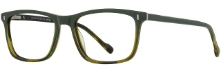 C03 Olive/Tortoise