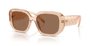 195473 Brown