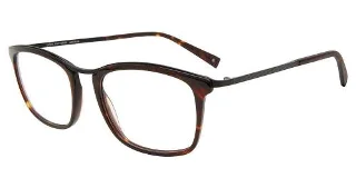 Tortoise