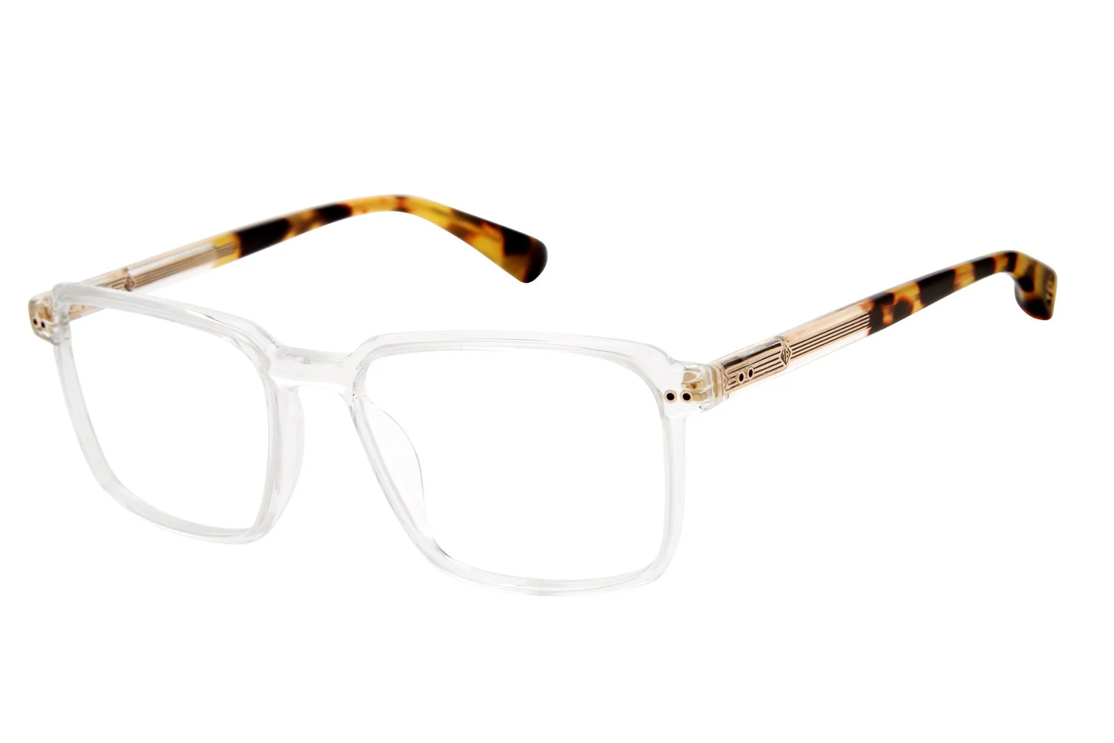 Ted Baker Eyeglasses TLM008