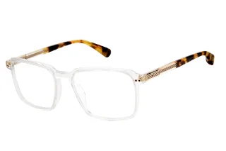 Ted Baker Eyeglasses TLM008