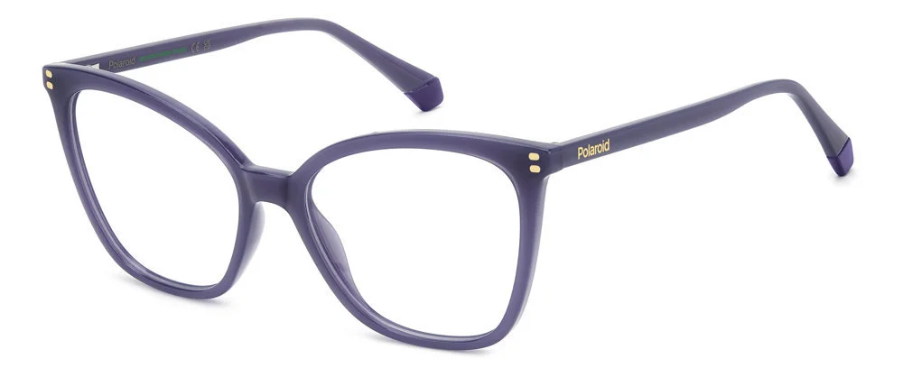Polaroid Eyeglasses PLD D579