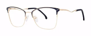 Navy/Gold