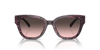 Coach Sunglasses HC8379F