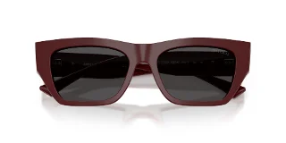 Jimmy Choo Sunglasses JC5035BF