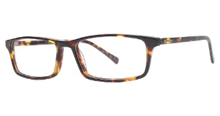 Stetson Eyeglasses 309