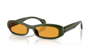 006/N9 Solid Green