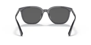 Coach Sunglasses HC8338U