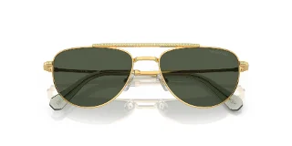 Swarovski Sunglasses SK7007