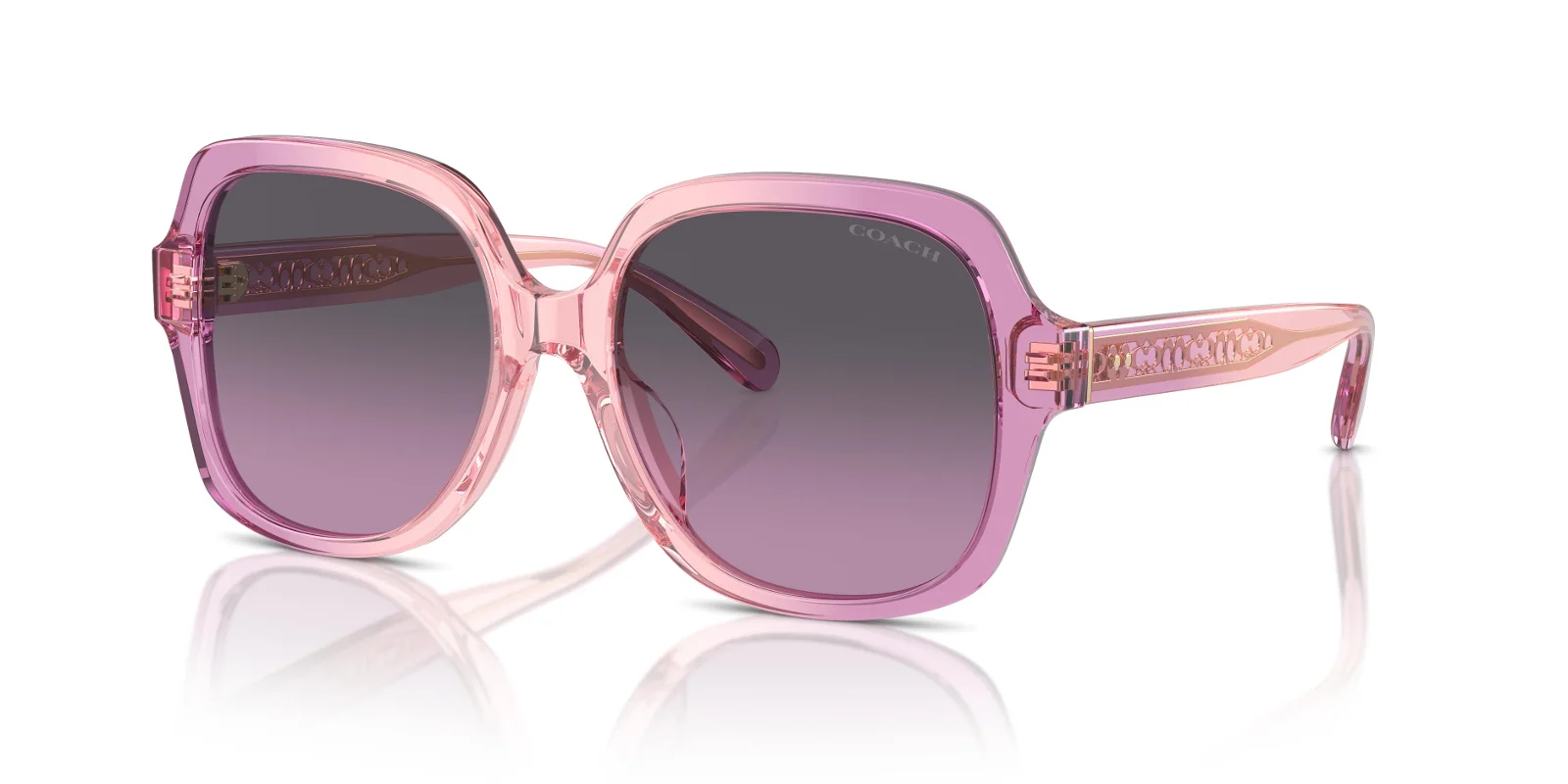 Coach Sunglasses HC8395F
