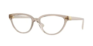 2990 Transparent Light Brown