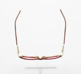 Polo Eyeglasses PP8506