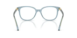 Swarovski Eyeglasses SK2069
