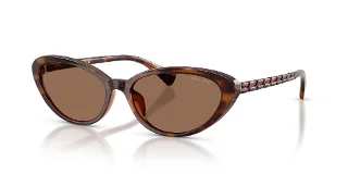 614913 Shiny Dark Havana