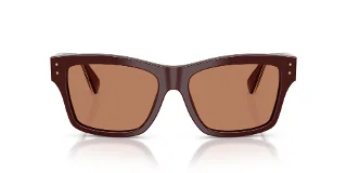 Dolce & Gabbana Sunglasses DG4559