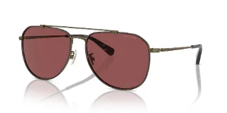 933375 Antique Gold/Dark Tortoise
