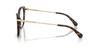 Swarovski Eyeglasses SK2060