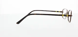 Polo Eyeglasses PP8031