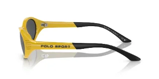 Polo Sunglasses PH4197U