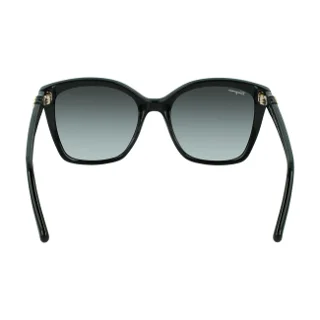 Salvatore Ferragamo Sunglasses SF1026S