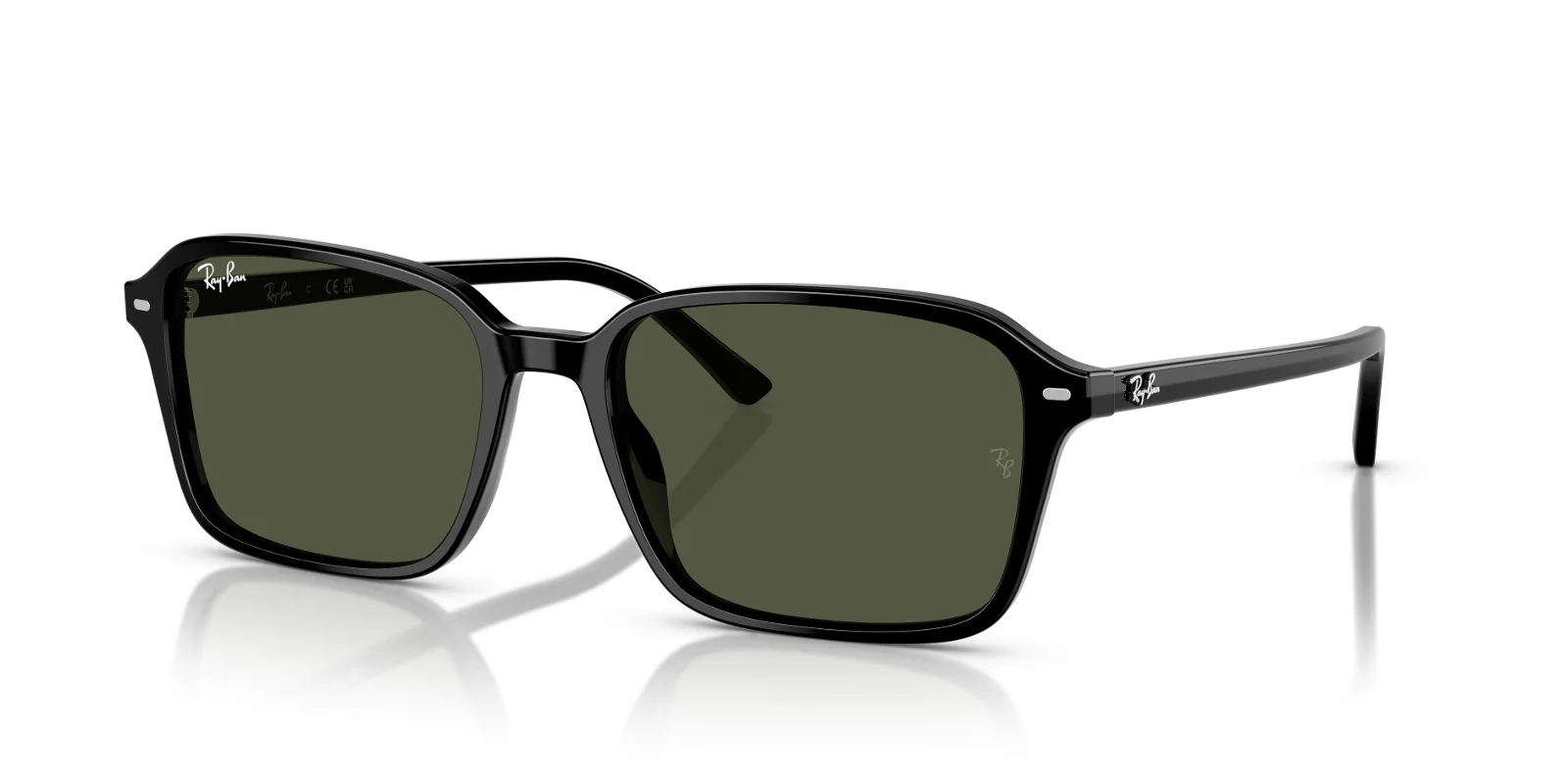 Ray Ban Sunglasses RB2231F