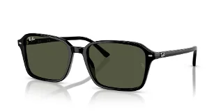 Ray Ban Sunglasses RB2231F