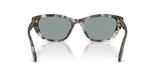 Dolce & Gabbana Sunglasses DG4571
