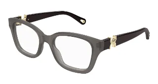 007 GREY/BROWN