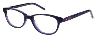 Purple Tortoise